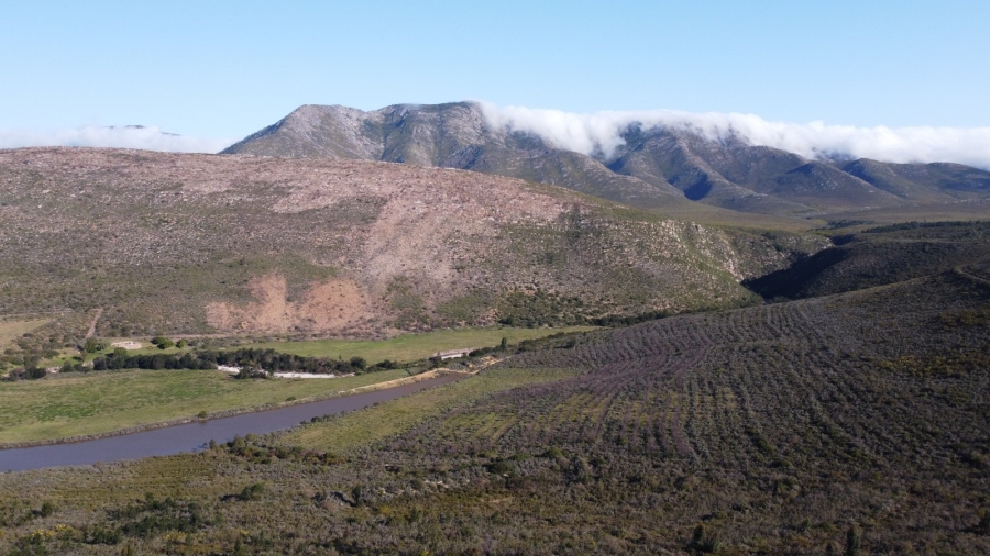 0 Bedroom Property for Sale in Joubertina Eastern Cape